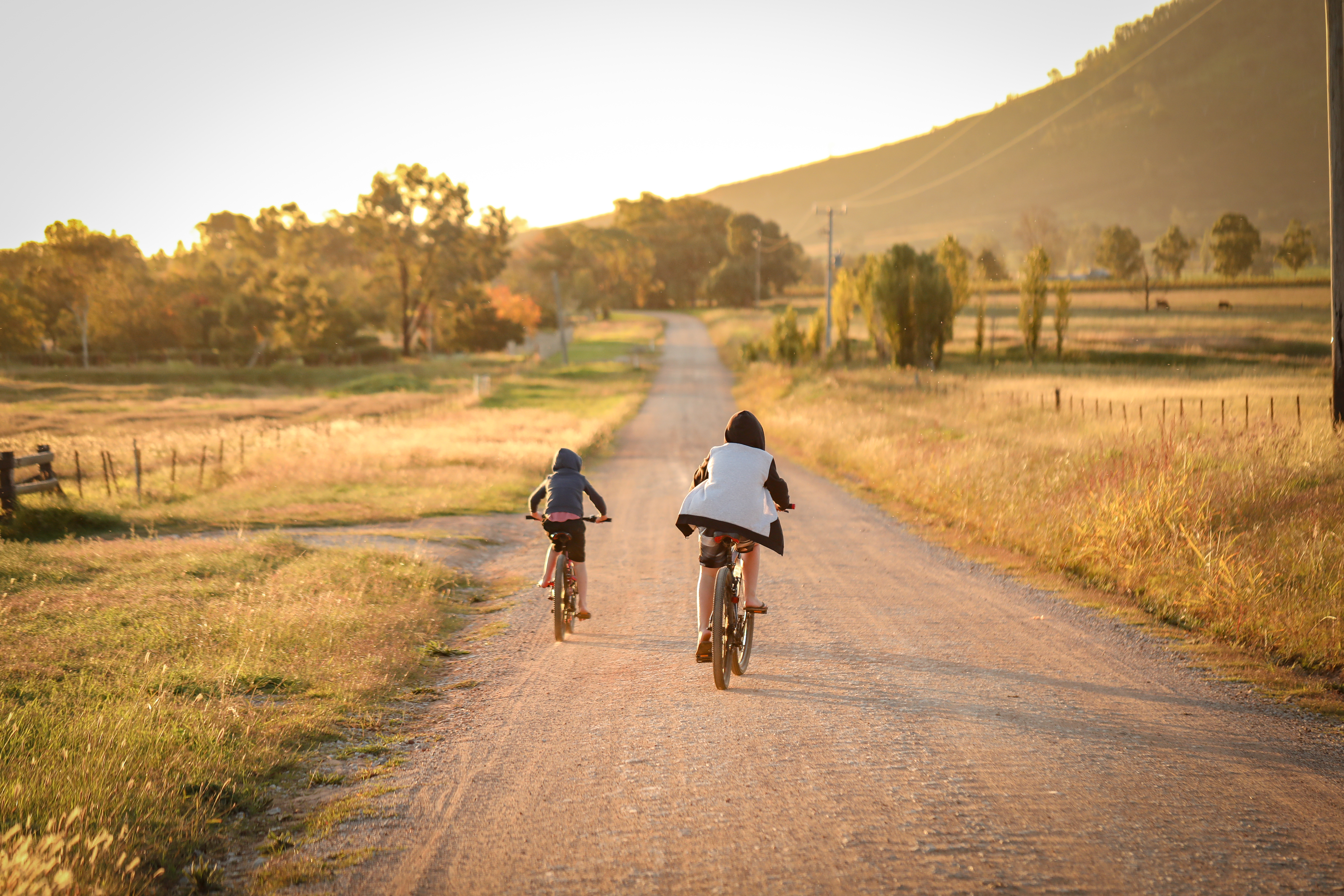 children-riding-bikes-remote-country-lane by freepik license